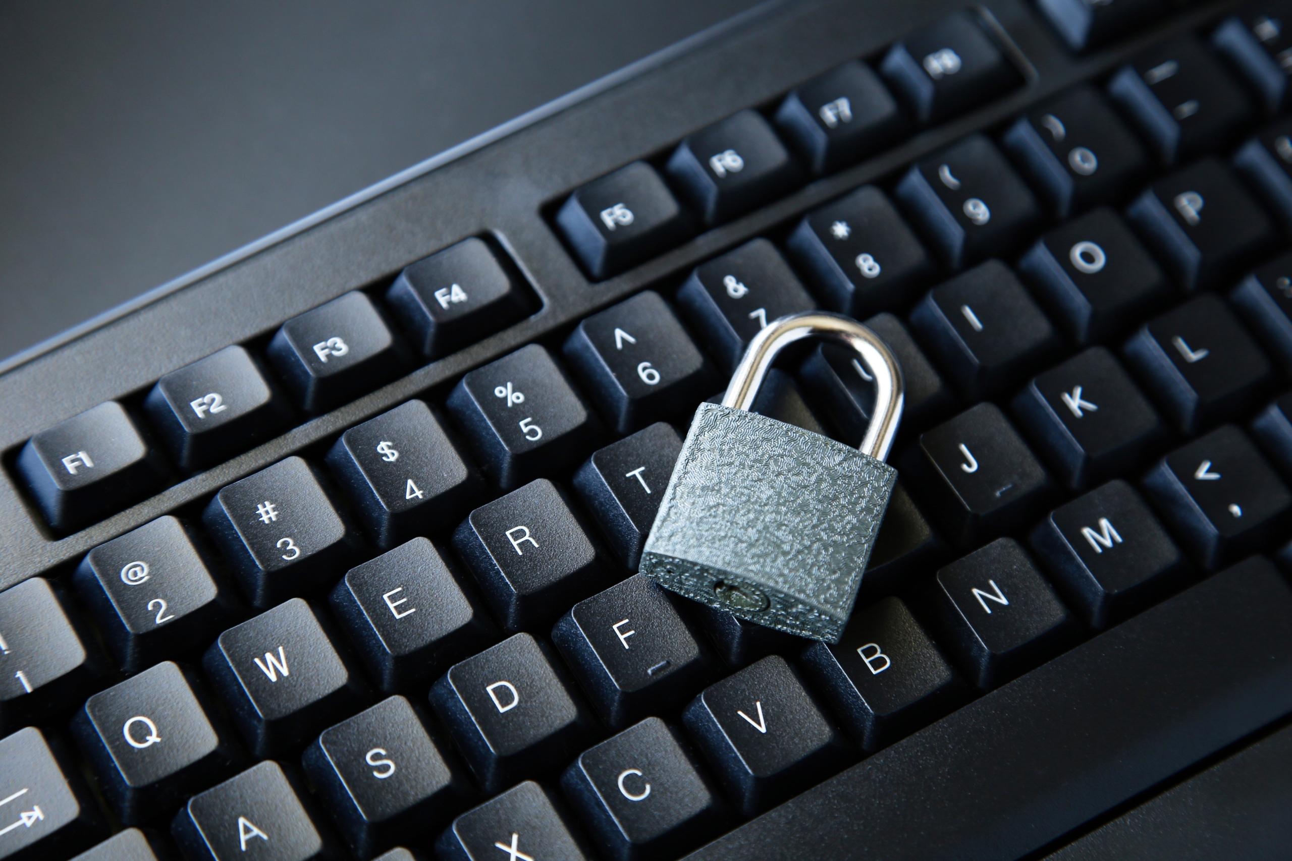 I dati come patrimonio degli Enti locali e il rispetto della Privacy. Rischi, sanzioni e soluzioni 